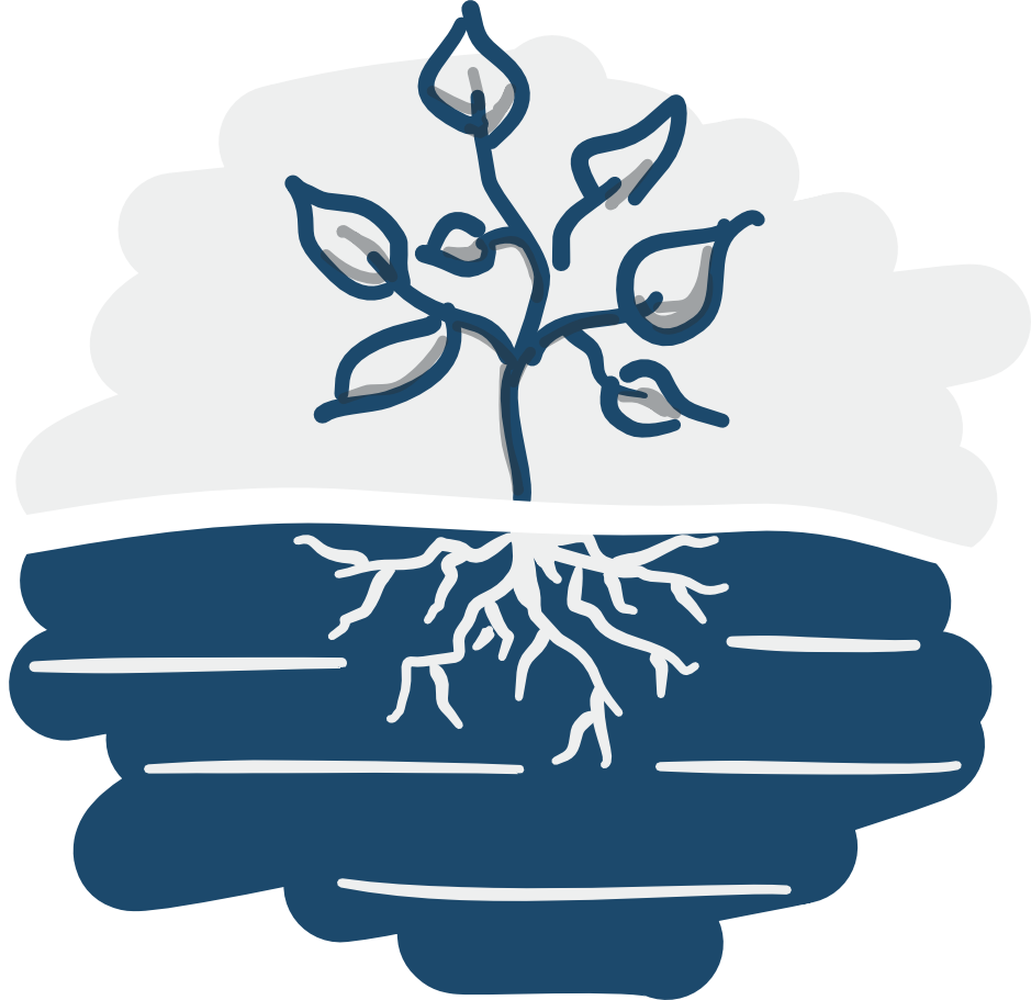 Dessin d'une plante enracinée dans le sol, illustrant le service "Pédologie" de BEG SA