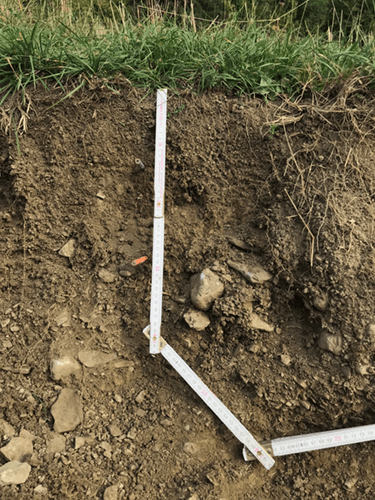 BEG-Domaines-Pédologie-Illustration1-resized-tinified