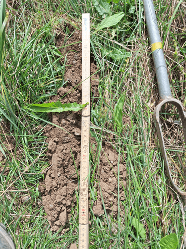 BEG-Domaines-Pédologie-Illustration2-resized-tinified