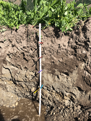 BEG-Domaines-Pédologie-Illustration3-resized-tinified