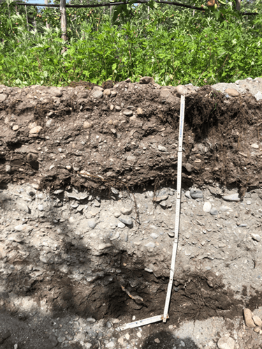 BEG-Domaines-Pédologie-Illustration4-resized-tinified