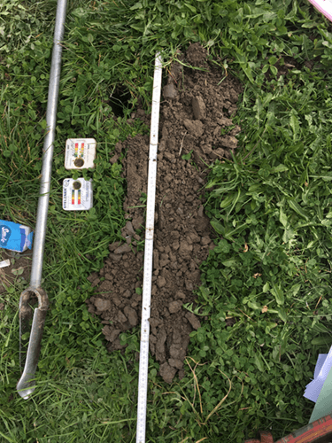 BEG-Domaines-Pédologie-Illustration5-resized-tinified