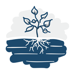 Dessin d'une plante enracinée dans le sol, illustrant le service "Pédologie" de BEG SA.